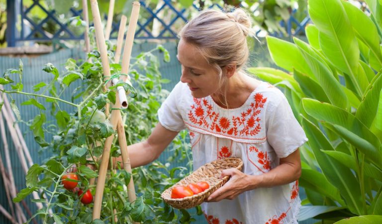 Varas, celosías, emparrados, túneles de verdor y otros soportes para sujetar plantas | Estilo de vida Varas, celosías, emparrados, túneles de verdor y otros soportes para sujetar plantas | Estilo de vida